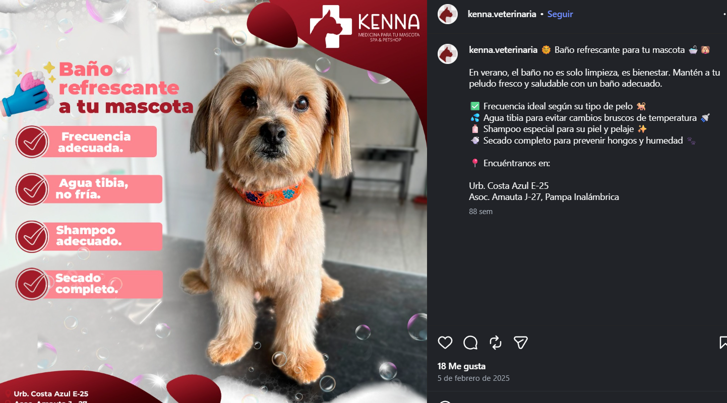 Mascota de una publicación compartida de KENNA
